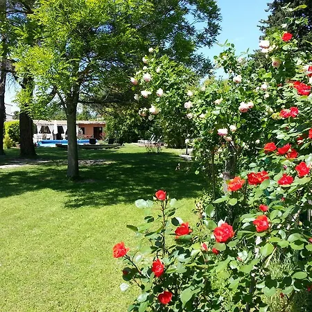 Mas La Provence LʼIsle-sur-la-Sorgue